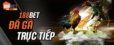 Trang chủ 11 đá gà 188bet icon