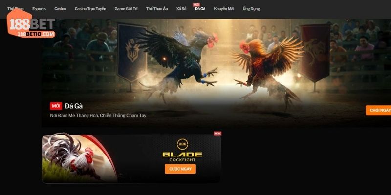 Cách tham gia cá cược đá gà 188Bet cho tân binh