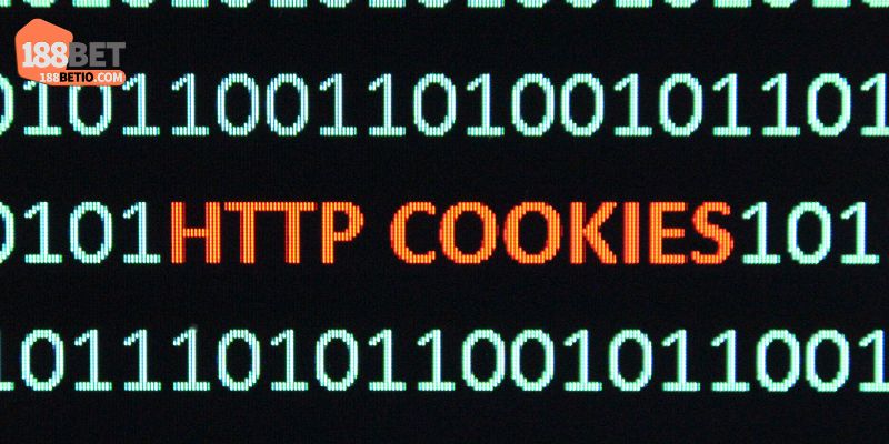 Chính Sách Bảo Mật 5 Cookies và công nghệ theo dõi